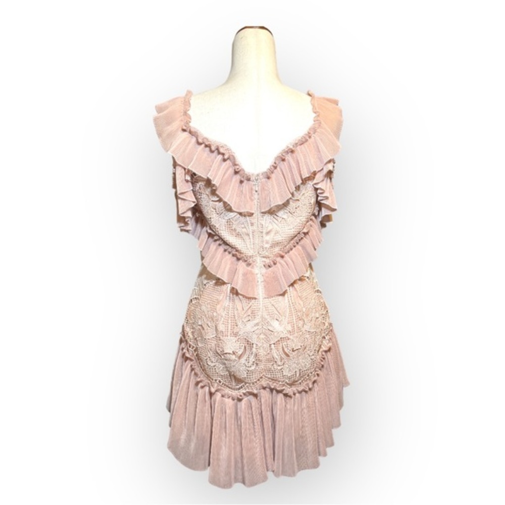 ❌SOLD❌ALICE MCCALL LOVEBIRDS DRESS ROSE PINK SIZE 6 - Picture 9 of 17